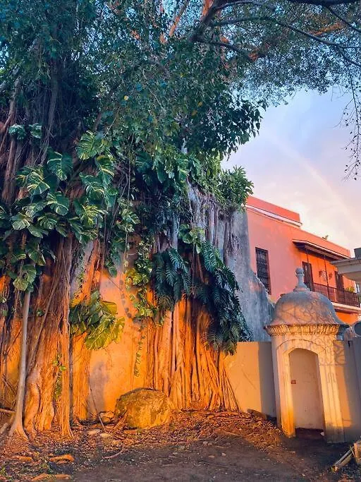 Apartmán Idesign Loft At Old San Juan
